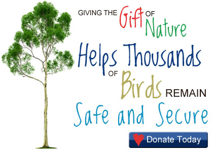 Giving the Gift of Nature Helps Thousands of Birds Remain Safe and Secure | Donate Today!